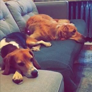 Meet your Posher, Beth